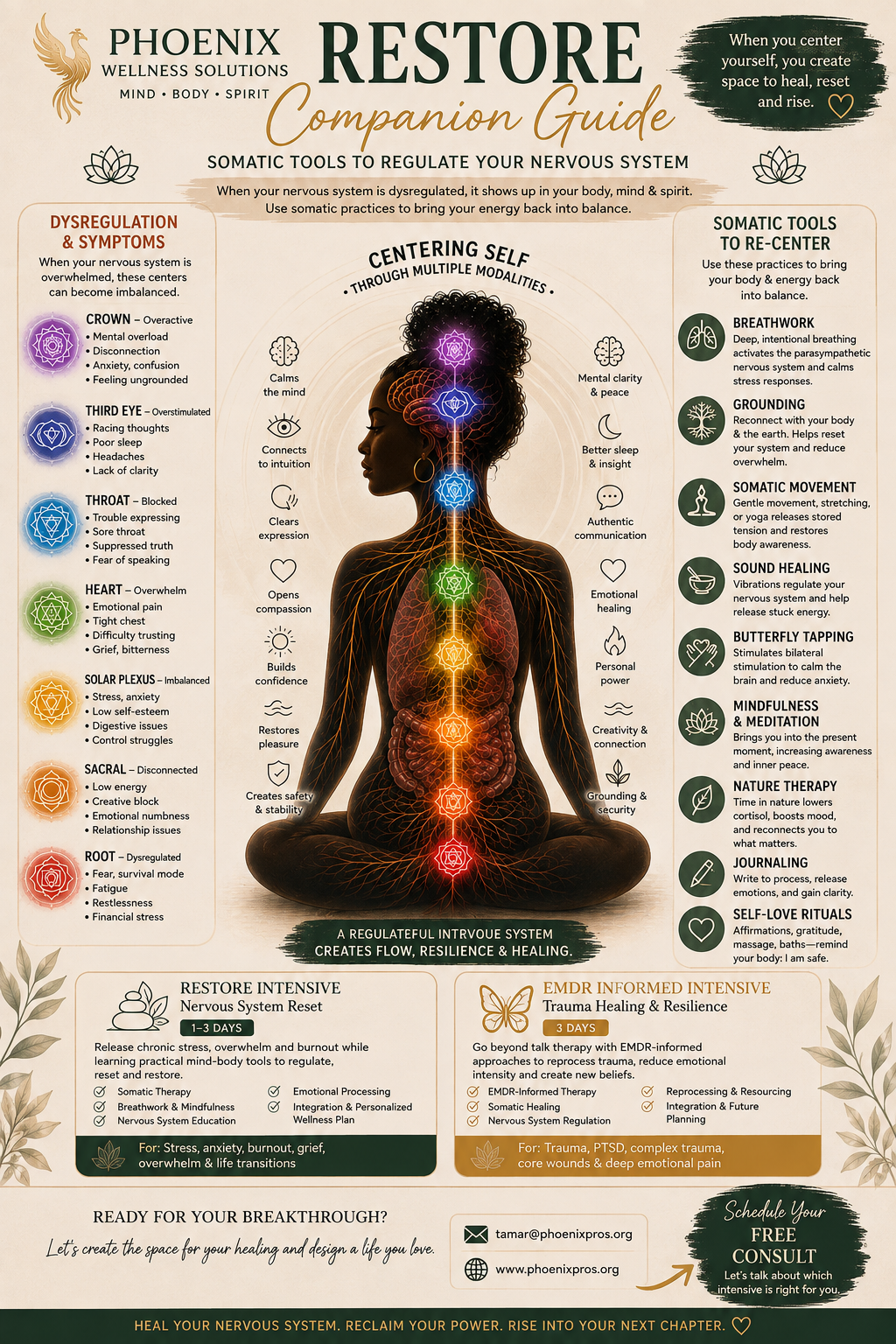 https://mindfultay.com/wp-content/uploads/2026/09/Companion-Guide-2-of-3.png