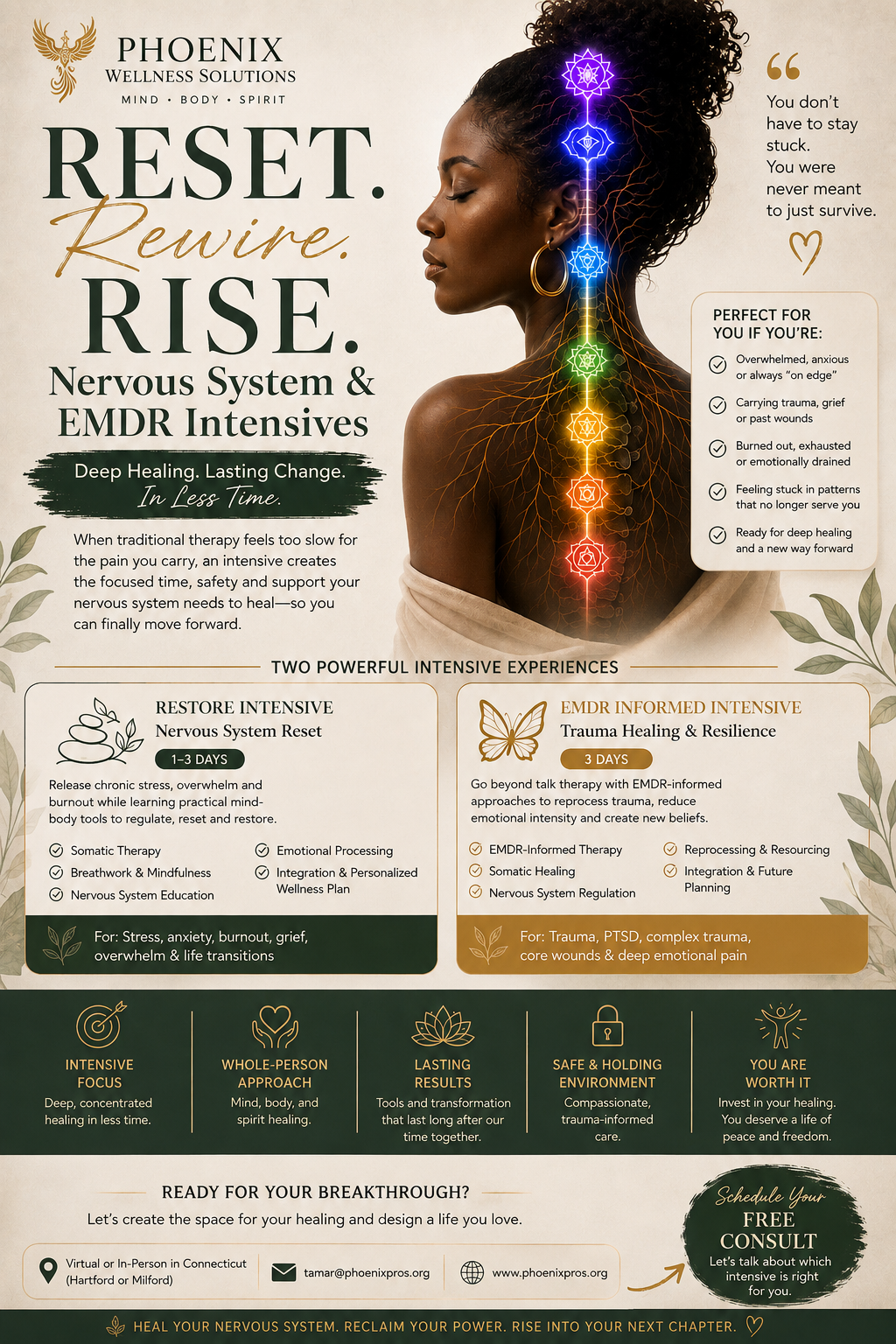 https://mindfultay.com/wp-content/uploads/2026/09/Companion-Guide-3-of-3.png